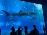 沖縄美ら海水族館に投稿された画像（2022/7/21）
