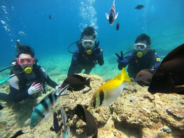 武藤潜水に投稿された画像（2022/7/21）