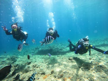 武藤潜水に投稿された画像（2022/7/21）