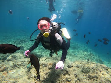 武藤潜水に投稿された画像（2022/7/21）