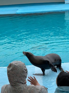 南知多ビーチランド＆南知多おもちゃ王国に投稿された画像（2022/7/21）