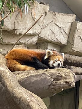 那須どうぶつ王国に投稿された画像（2022/7/21）