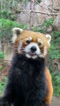 那須どうぶつ王国に投稿された画像（2022/7/21）