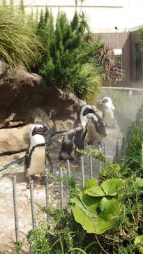 サンシャイン水族館に投稿された画像（2022/7/21）