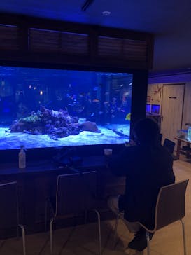 ゼロ距離水族館 伊勢シーパラダイスに投稿された画像（2022/7/21）