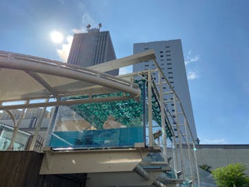 サンシャイン水族館に投稿された画像（2022/7/21）