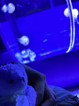 すみだ水族館に投稿された画像（2022/7/21）