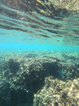 沖縄マリンサービス碧に投稿された画像（2022/7/22）