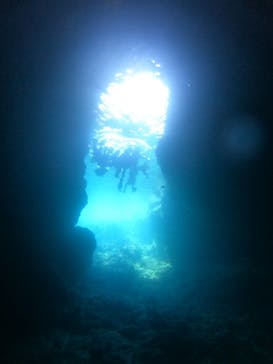 沖縄マリンサービス碧に投稿された画像（2022/7/22）