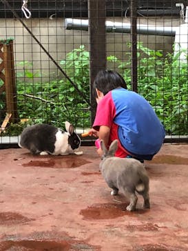 那須ワールドモンキーパークに投稿された画像（2022/7/22）