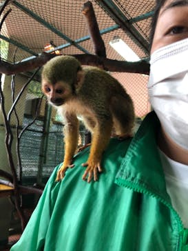 那須ワールドモンキーパークに投稿された画像（2022/7/22）