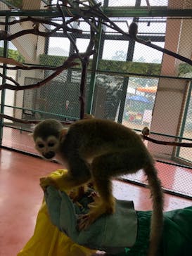 那須ワールドモンキーパークに投稿された画像（2022/7/22）