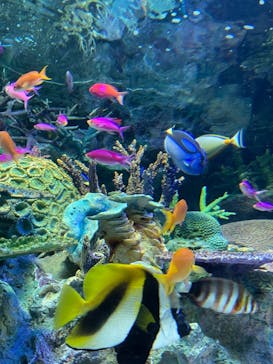 サンシャイン水族館に投稿された画像（2022/7/22）