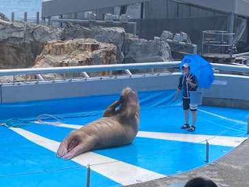 大分マリーンパレス水族館 「うみたまご」に投稿された画像（2022/7/22）