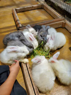 神戸どうぶつ王国に投稿された画像（2022/7/22）