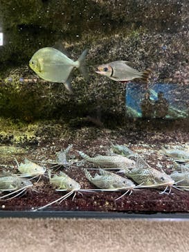 サンシャイン水族館に投稿された画像（2022/7/22）