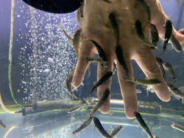 サケのふるさと 千歳水族館に投稿された画像（2022/7/22）