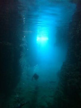 武藤潜水に投稿された画像（2022/7/22）