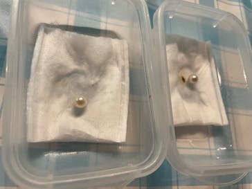 しながわ水族館に投稿された画像（2022/7/22）