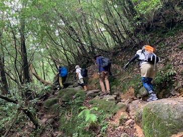 屋久島ガイド21EC-Kに投稿された画像（2022/7/22）