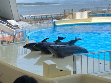 マリンワールド海の中道に投稿された画像（2022/7/22）