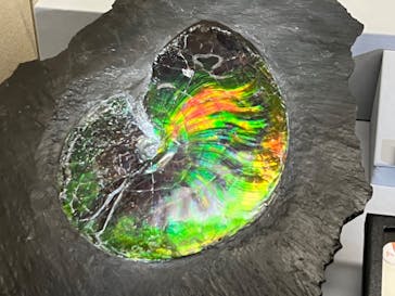 特別展「宝石　地球がうみだすキセキ」（名古屋市科学館　理工館地下２階イベントホール）に投稿された画像（2022/7/22）