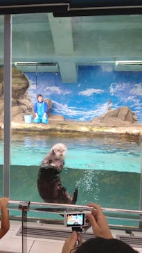マリンワールド海の中道に投稿された画像（2022/7/23）
