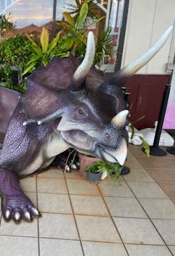 御菓子御殿　名護店　やんばる亜熱帯の森DINO恐竜PARKに投稿された画像（2022/7/23）