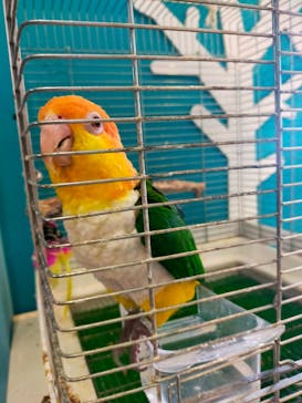 Moff animal cafe iias つくば店に投稿された画像（2022/7/23）