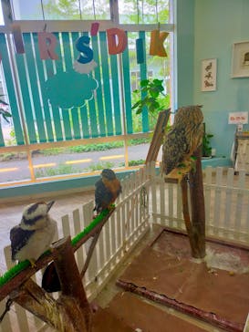 Moff animal cafe iias つくば店に投稿された画像（2022/7/23）