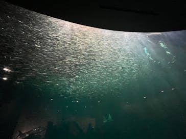 名古屋港水族館に投稿された画像（2022/7/23）