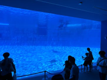 名古屋港水族館に投稿された画像（2022/7/23）