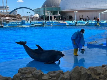 名古屋港水族館に投稿された画像（2022/7/23）