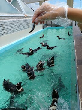 株式会社Gに投稿された画像（2022/7/23）