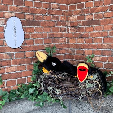 オダイバ冒険アイランドに投稿された画像（2022/7/23）