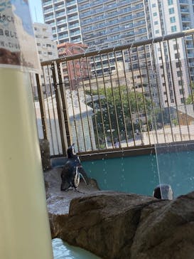 しながわ水族館に投稿された画像（2022/7/23）