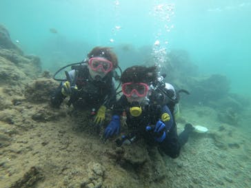 武藤潜水に投稿された画像（2022/7/23）