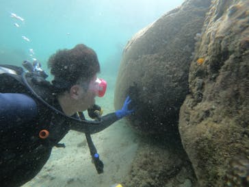 武藤潜水に投稿された画像（2022/7/23）