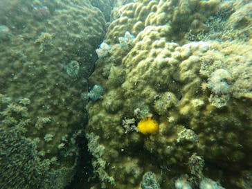 武藤潜水に投稿された画像（2022/7/23）