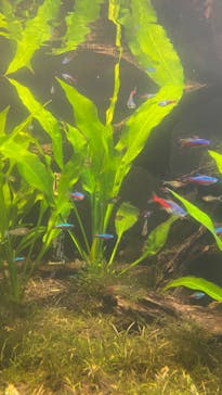 株式会社Gに投稿された画像（2022/7/23）