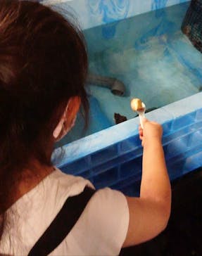 カワスイ 川崎⽔族館に投稿された画像（2022/7/18）