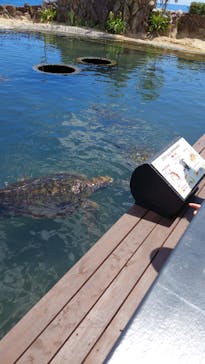 串本海中公園水族館に投稿された画像（2022/7/23）