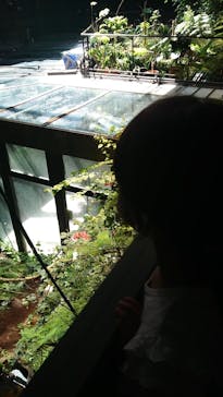 カワスイ 川崎⽔族館に投稿された画像（2022/7/23）