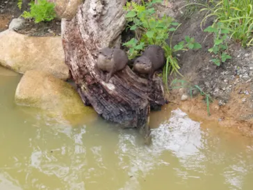 神戸どうぶつ王国に投稿された画像（2022/7/23）