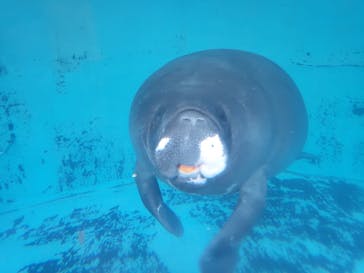 熱川バナナワニ園に投稿された画像（2022/7/23）