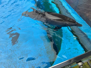 上越市立水族博物館 うみがたりに投稿された画像（2022/7/23）