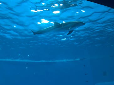 アクアワールド茨城県大洗水族館に投稿された画像（2022/7/23）