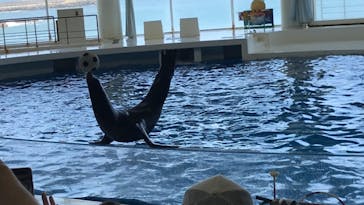 アクアワールド茨城県大洗水族館に投稿された画像（2022/7/23）