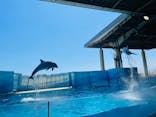 新江ノ島水族館に投稿された画像（2022/7/23）