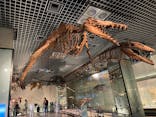 国立科学博物館に投稿された画像（2022/7/23）
